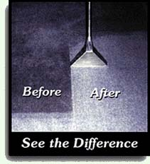 carpet cleaner
