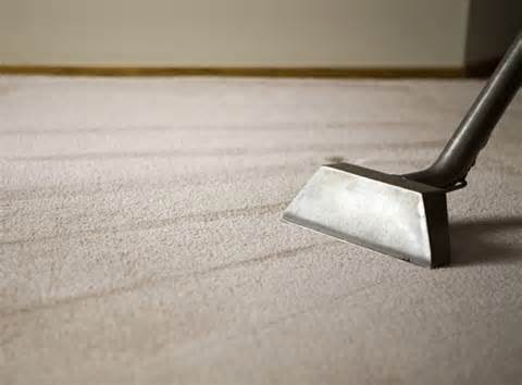 carpet cleaner